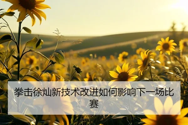 拳击徐灿新技术改进如何影响下一场比赛